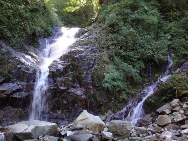 左岸に流入する流れは湧水だ