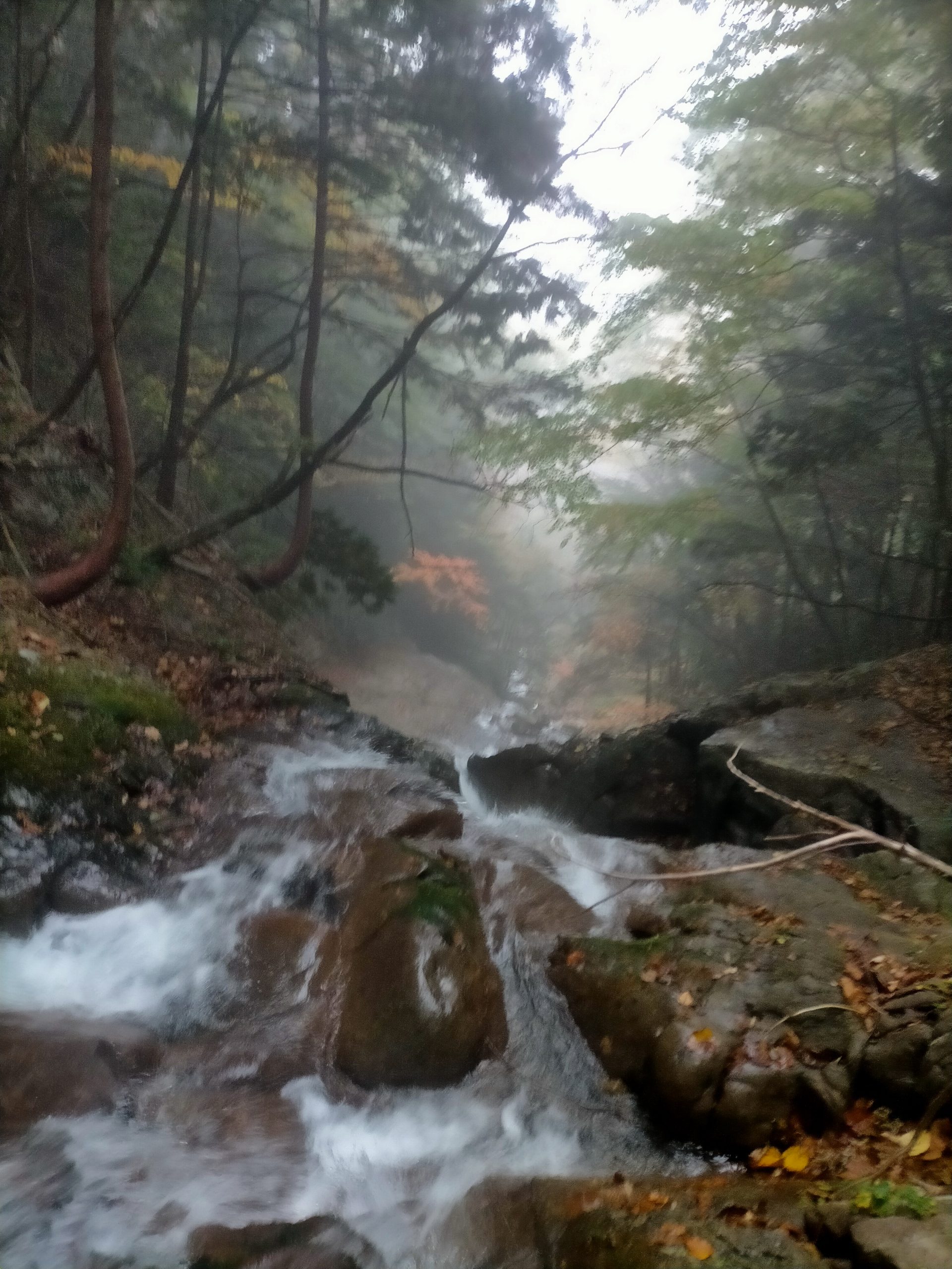 （集中山行・秋）鬼怒川日光沢