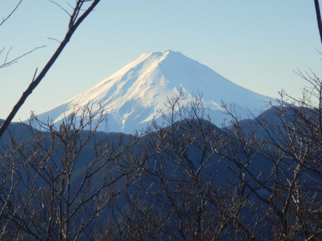 笹子雁ヶ腹摺山からの富士山