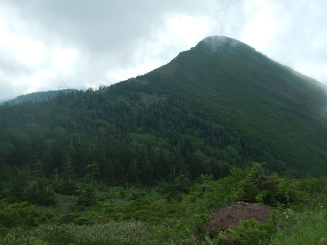 登山道から望む笠ヶ岳