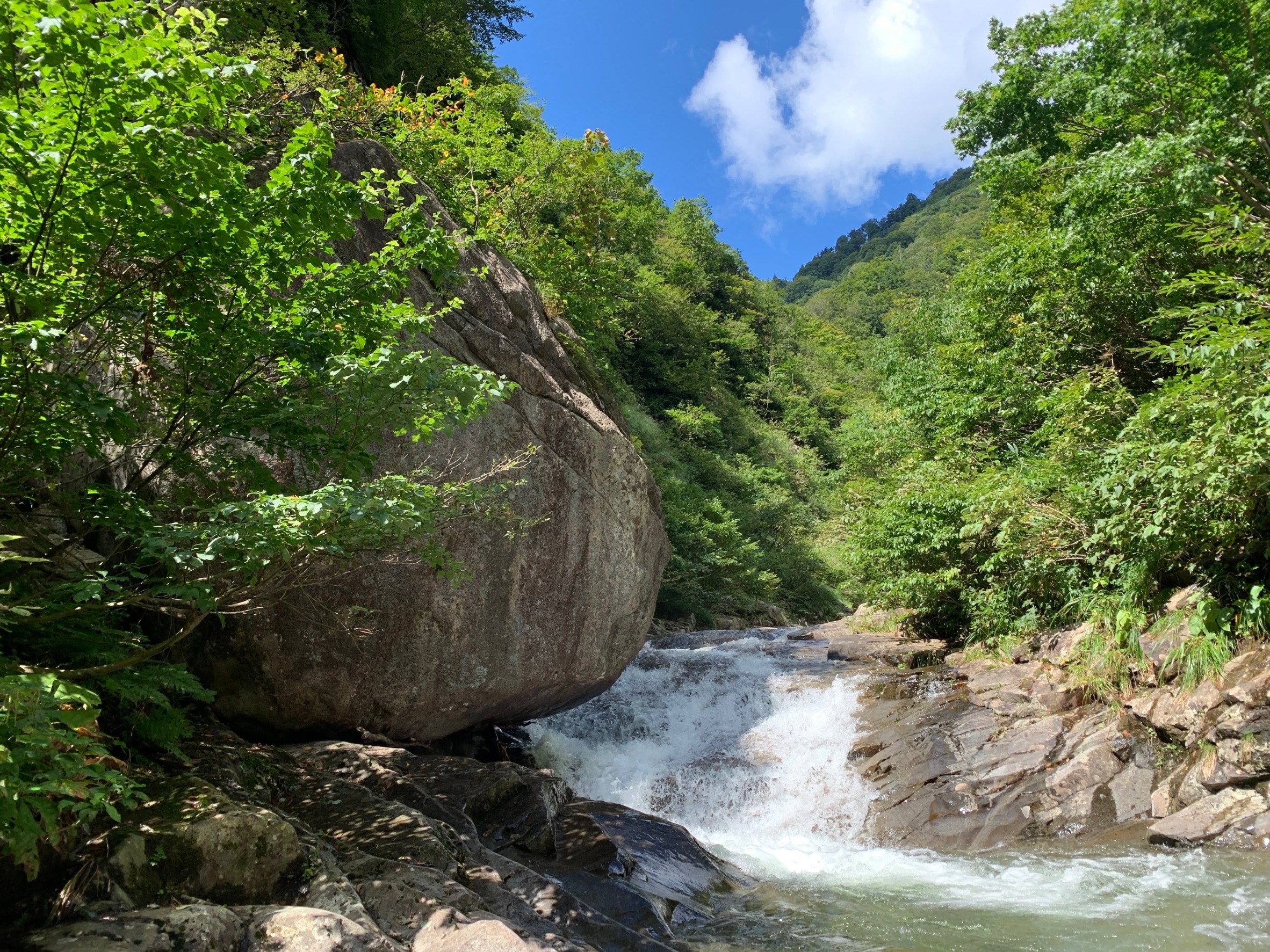 東黒沢～ウツボギ沢