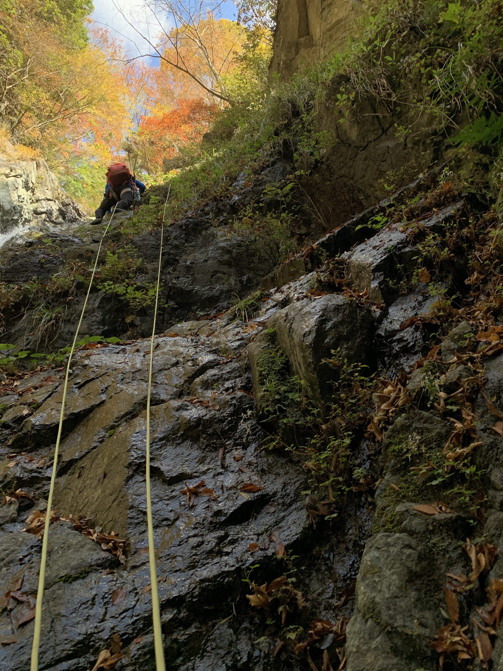 丹沢　寄沢（やどりきさわ）本流