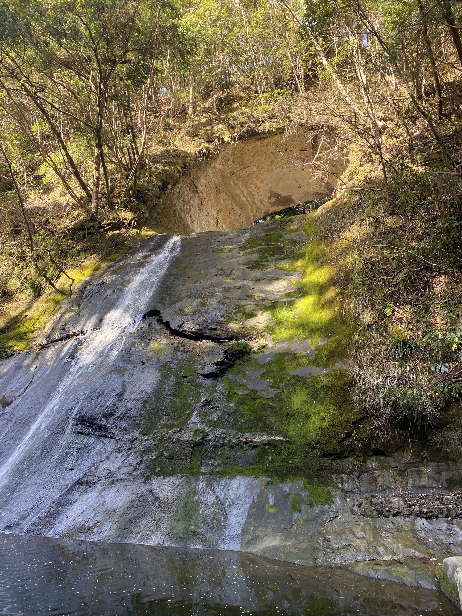 小糸川三間川（上流部）