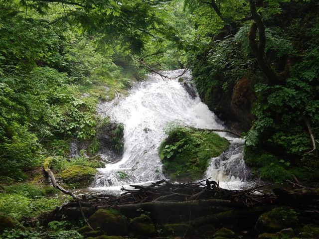大川入沢最初の滝