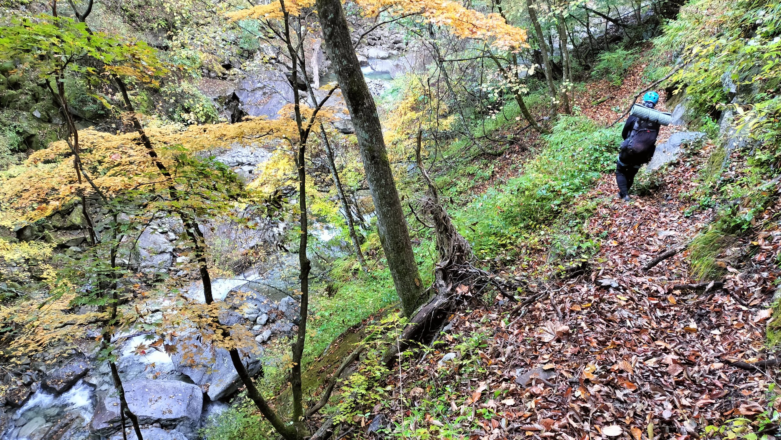 （集中山行・秋 B班）笛吹川東沢釜ノ沢西俣
