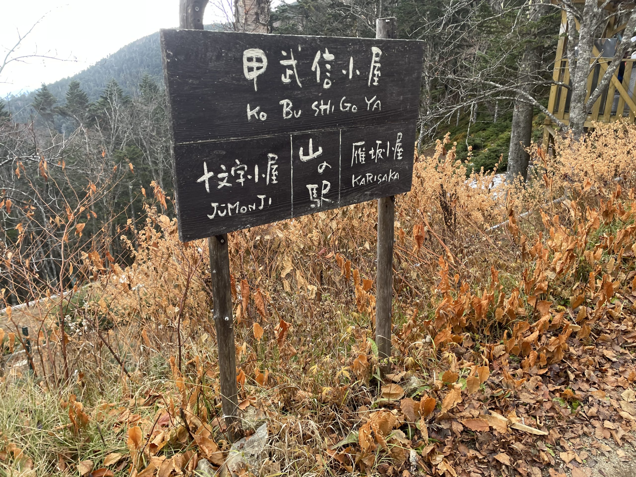 （集中山行・秋A班）入川真の沢｜速報