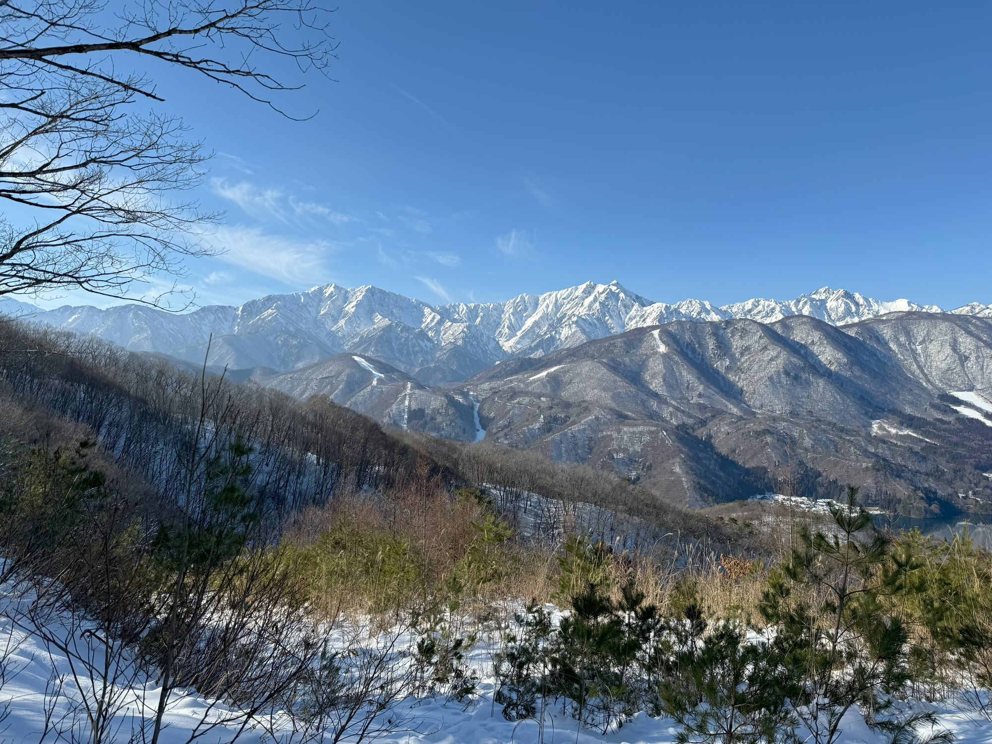 権現山