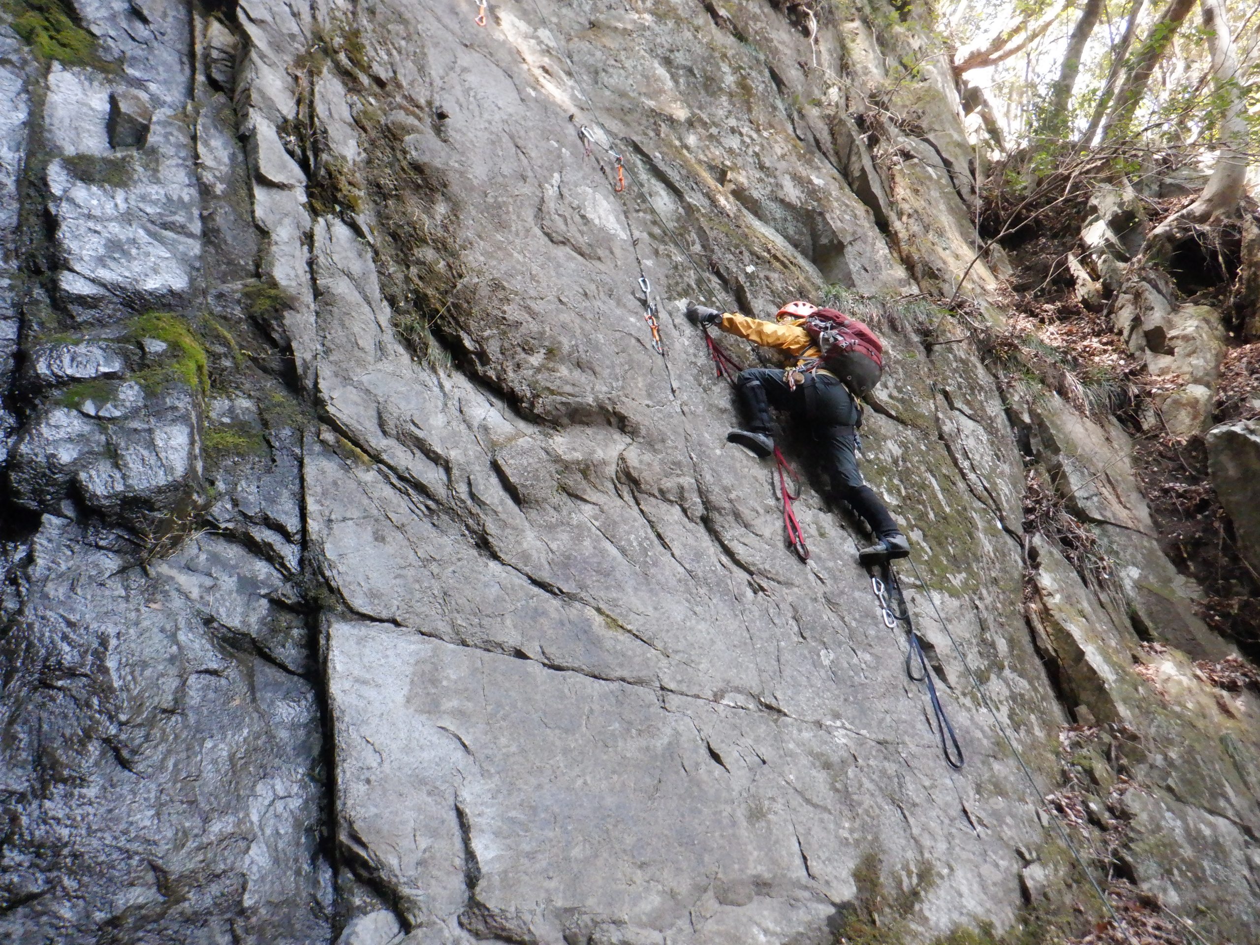 中川川箱根屋沢