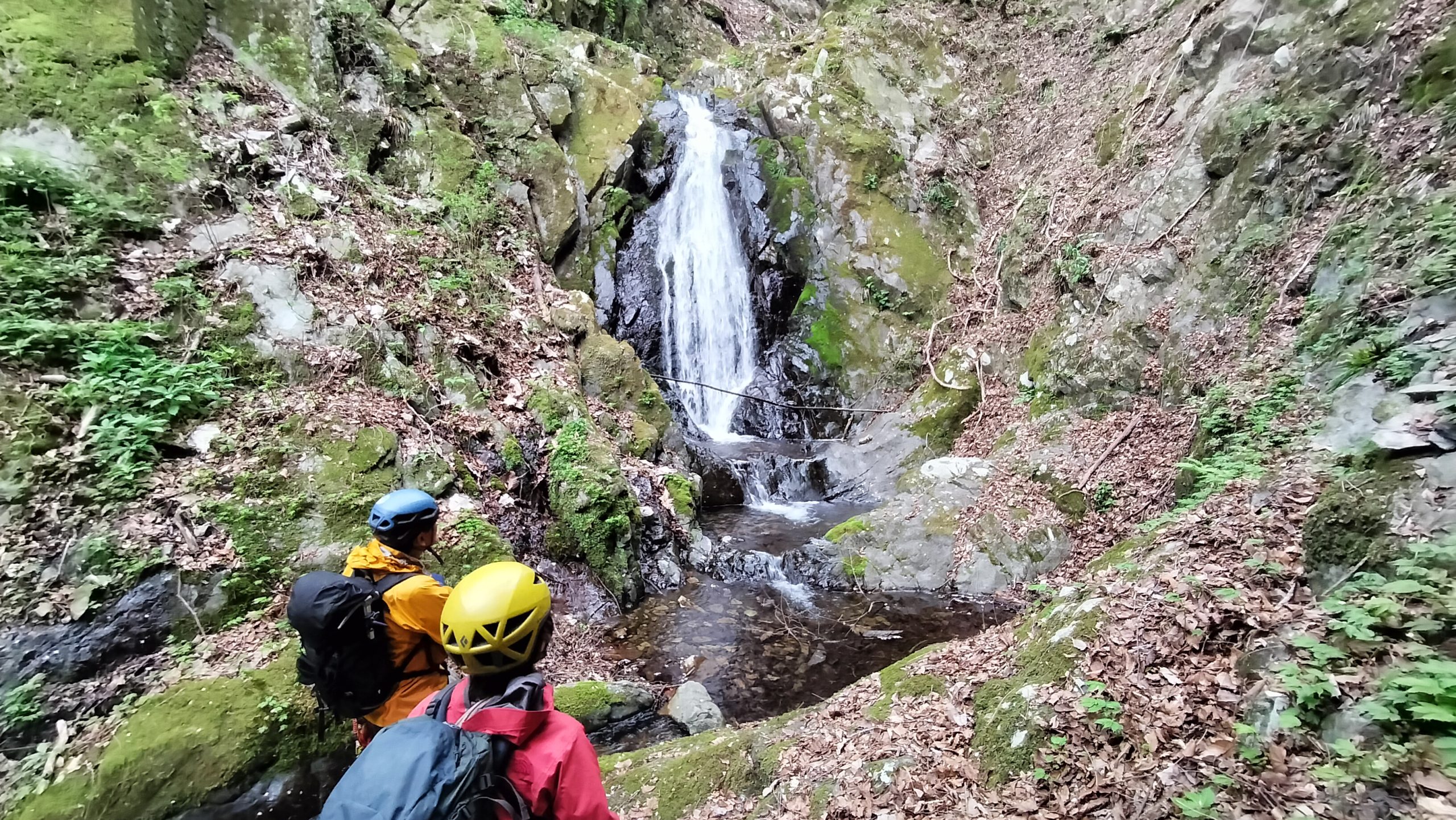 南秋川矢沢軍刀利沢｜速報
