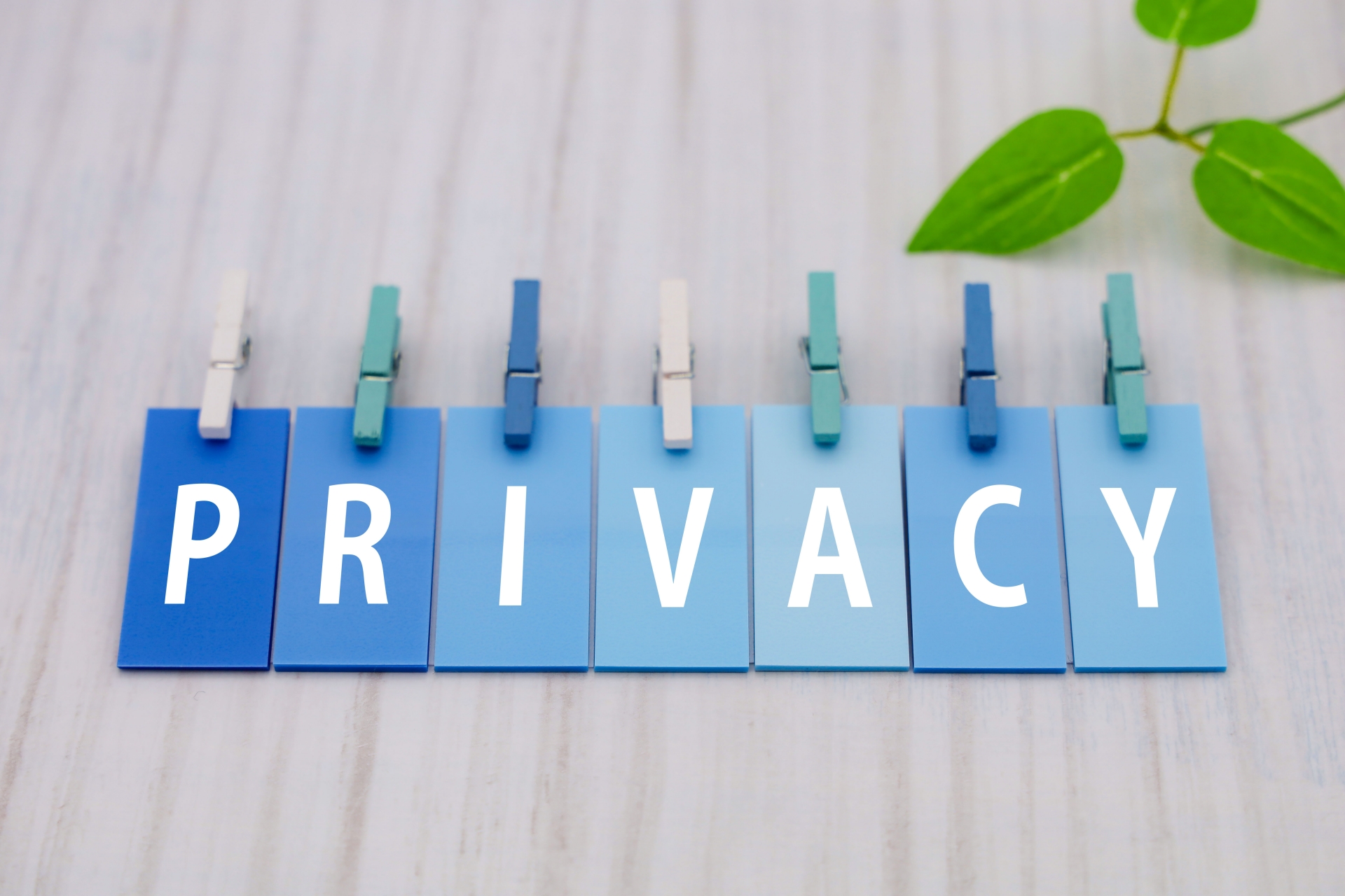 プライバシーポリシー、免責事項および著作権等について