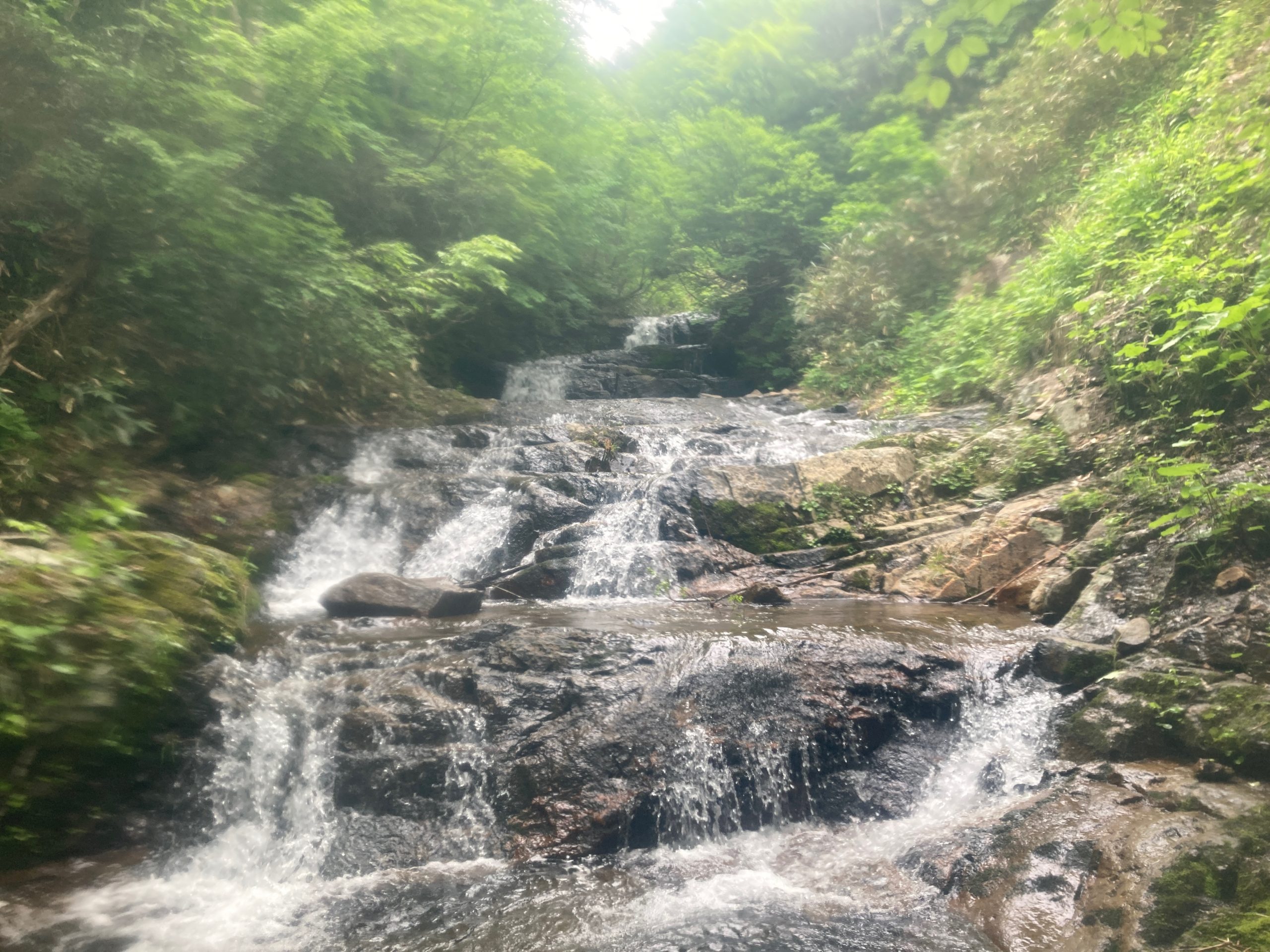 片品川中ノ岐沢小淵沢