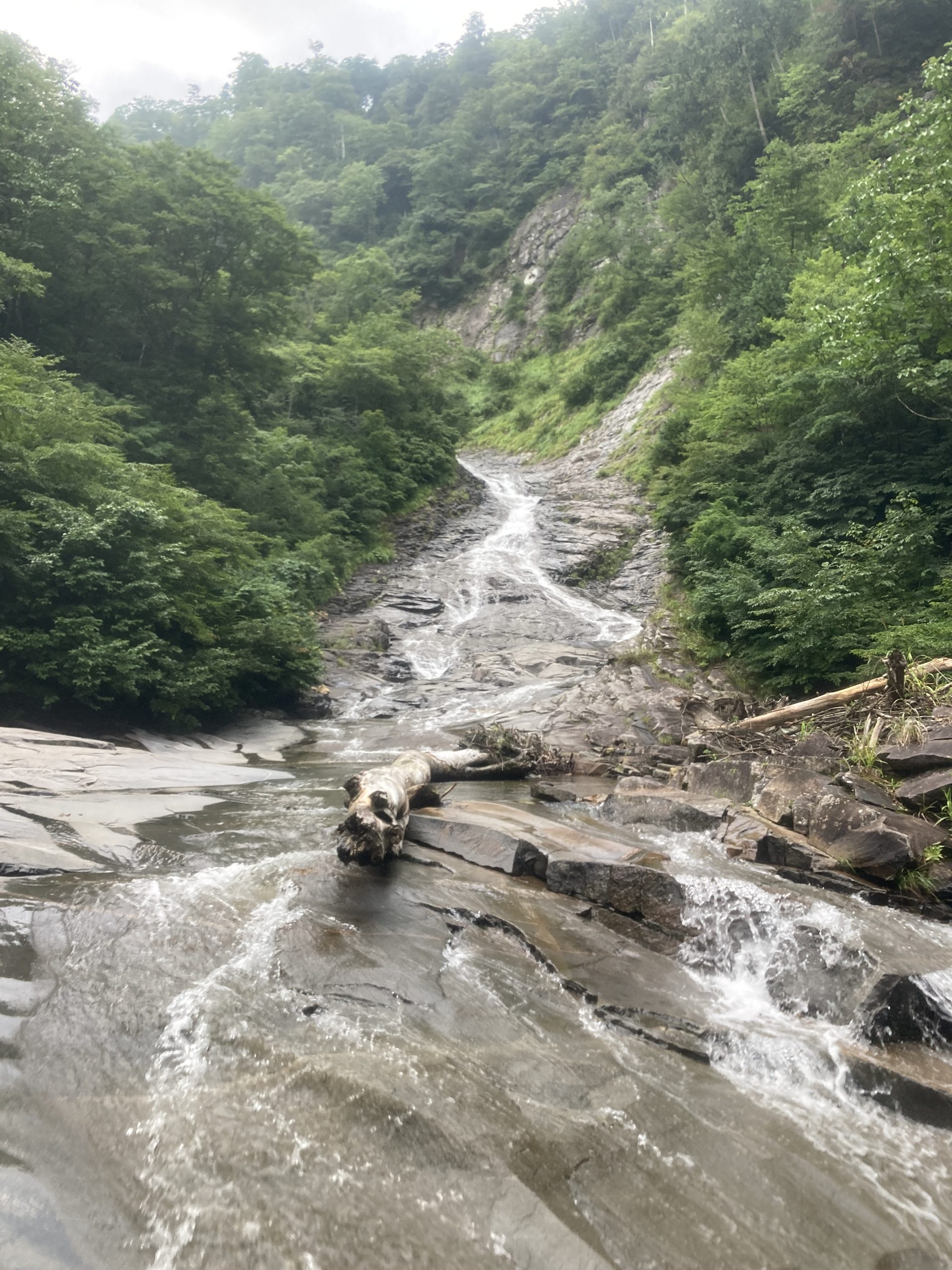 東黒沢白毛門沢