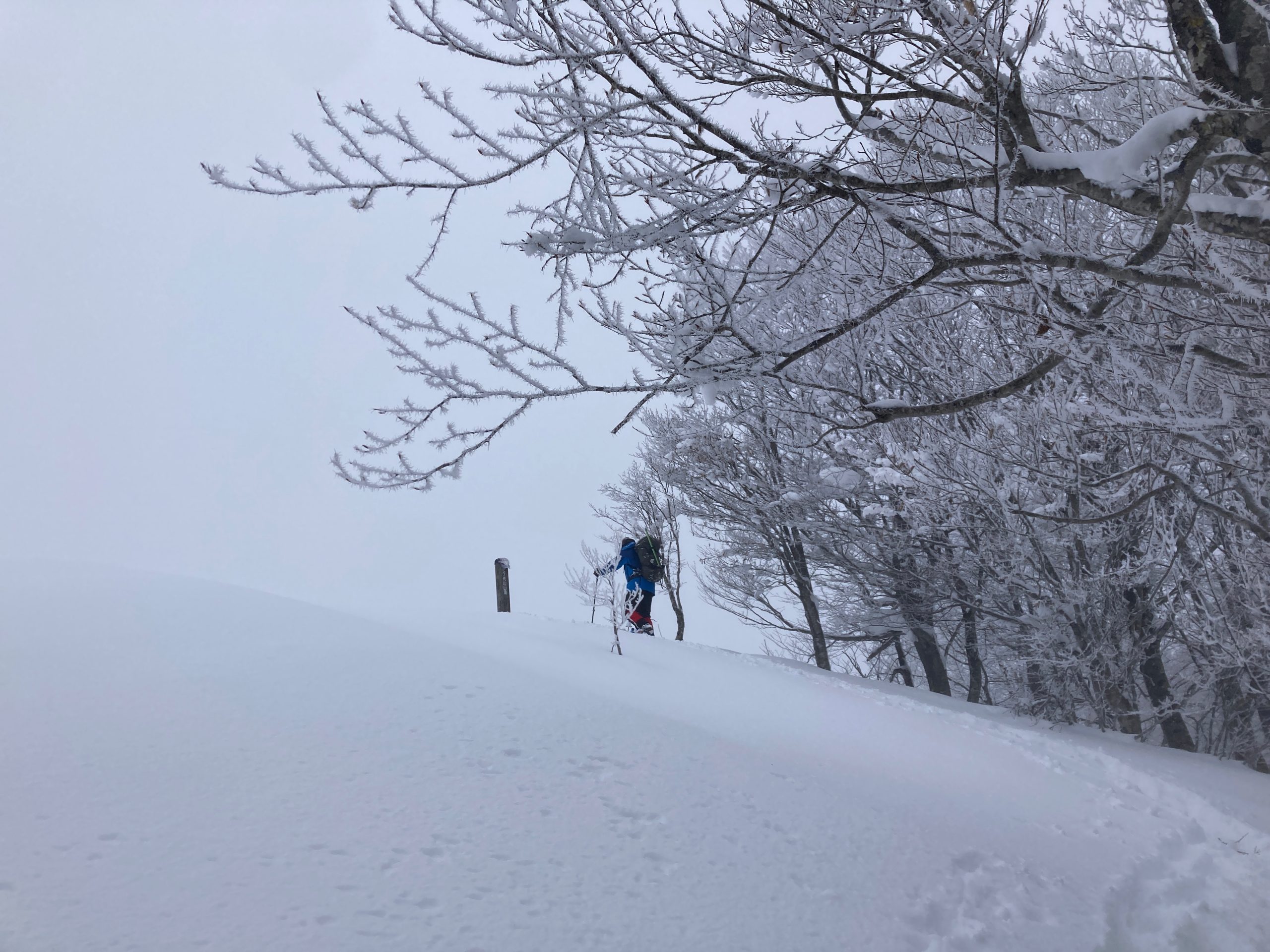 尼ヶ禿山～玉原湿原