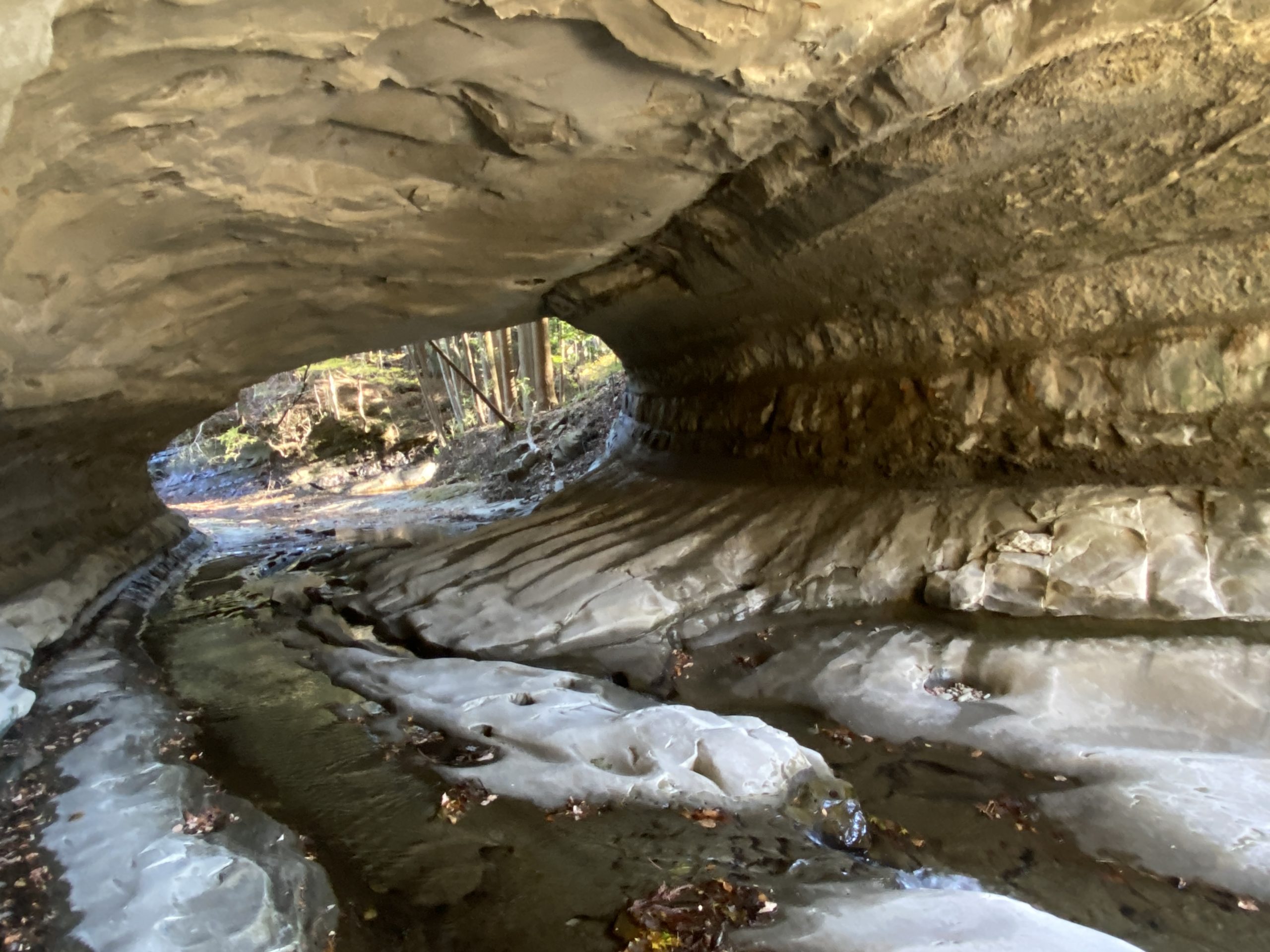 養老川水系 戸出川老川沢