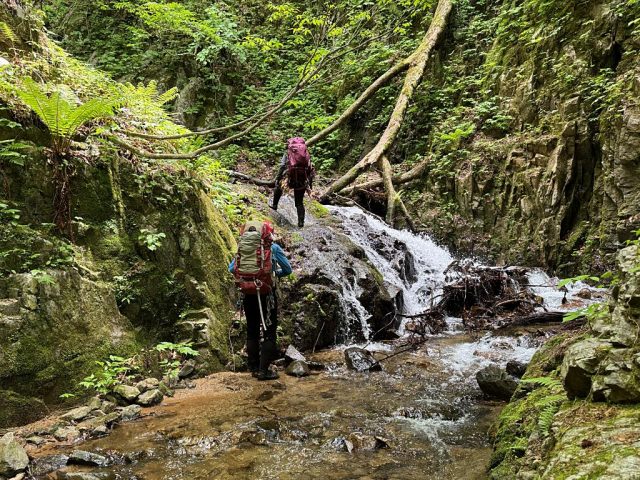 ゴルジュ内の小滝を登る