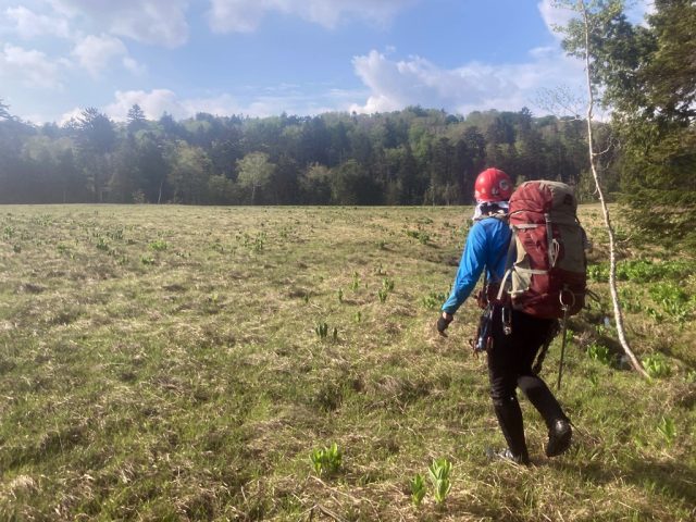 広々とした大丈田代に飛び出した