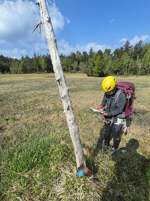 よく見る青い看板