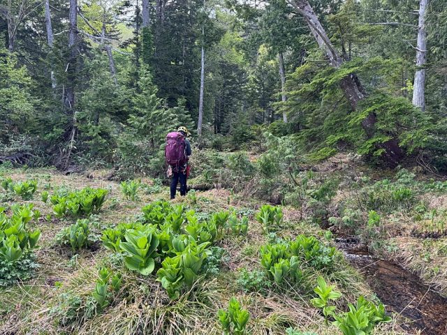 さあ次の田代に向けて出発だ