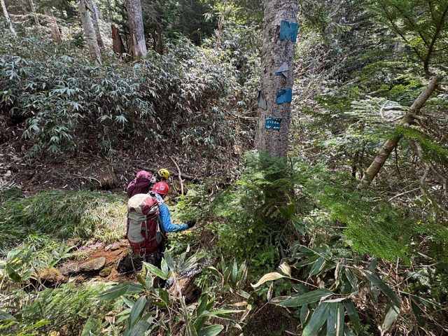 Co1670の大垂沢二俣