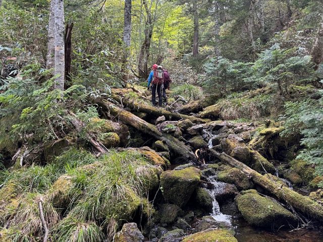 記憶よりも傾斜が少し急な大垂沢右俣