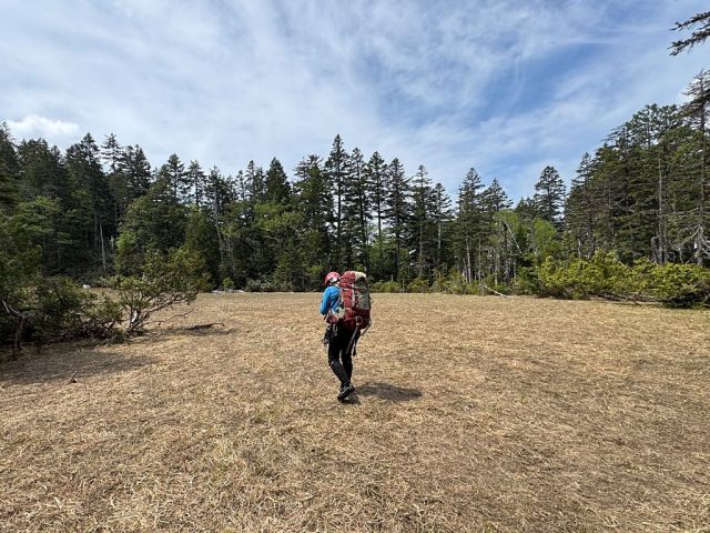 小さな空き地のような山犬田代