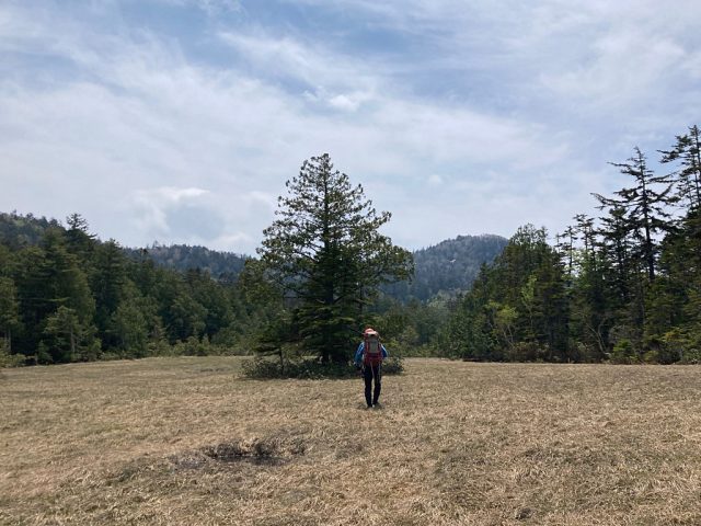 少し広めで池塘もある七兵衛田代