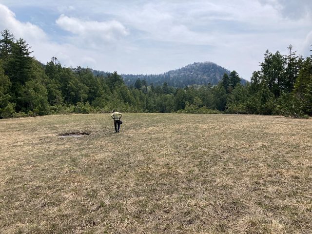 七兵衛田代から見た孫兵衛山