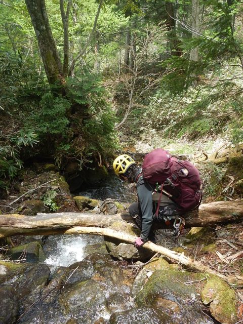 大垂沢を下降する