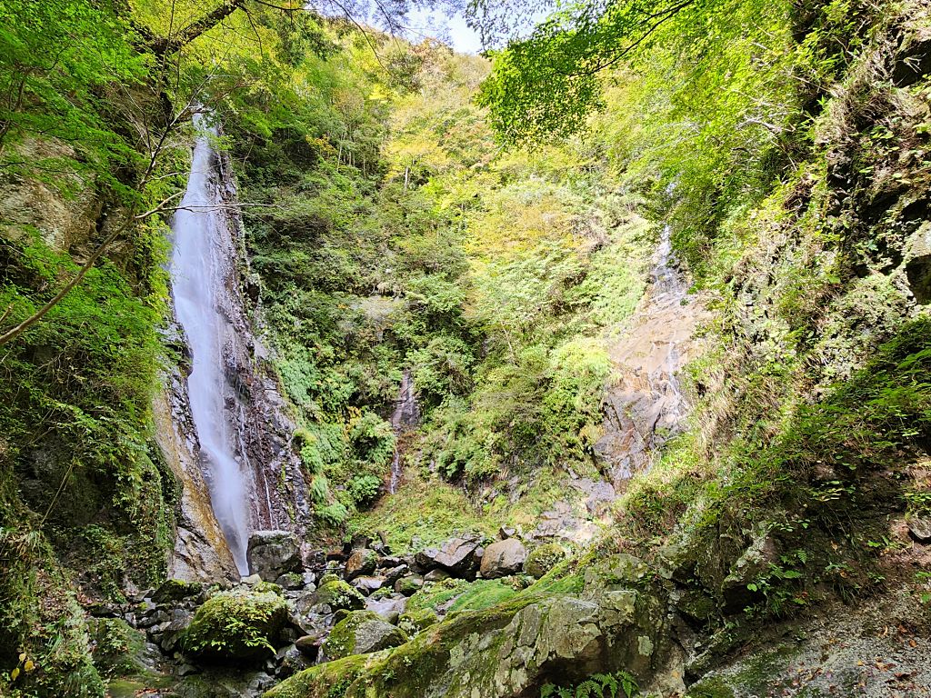 西沢本棚と対面する涸棚