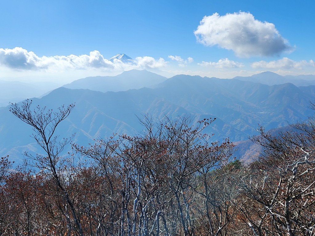 滝子山山頂から望む富士山