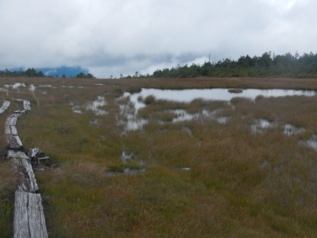山頂湿原の池塘