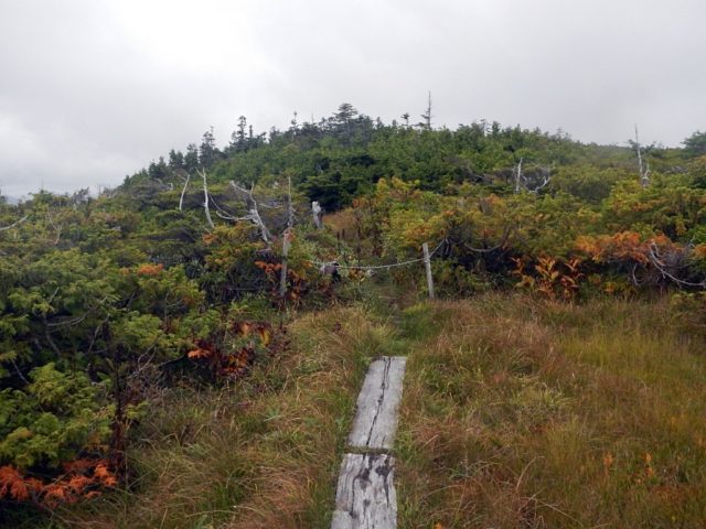 封鎖された踏み跡の入り口