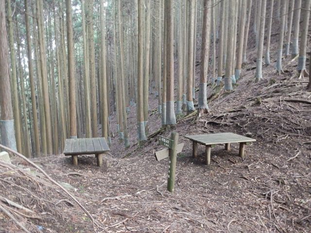 杉林に囲まれた二本杉峠