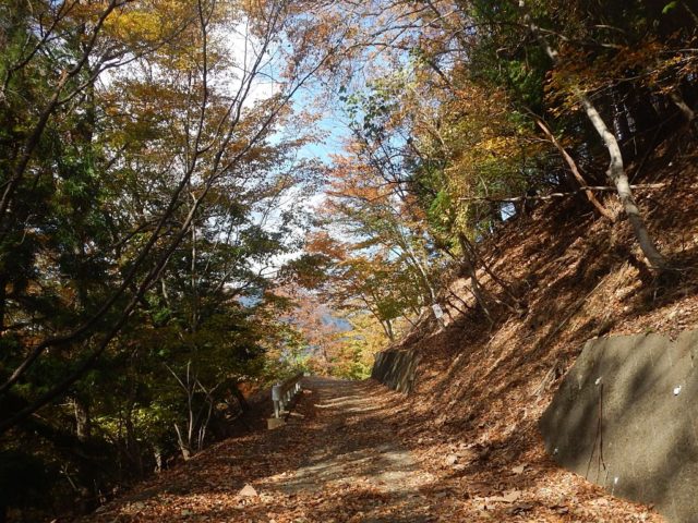 林道からは急登で尾根に乗る