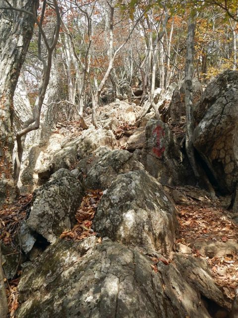 南陵上部の岩場