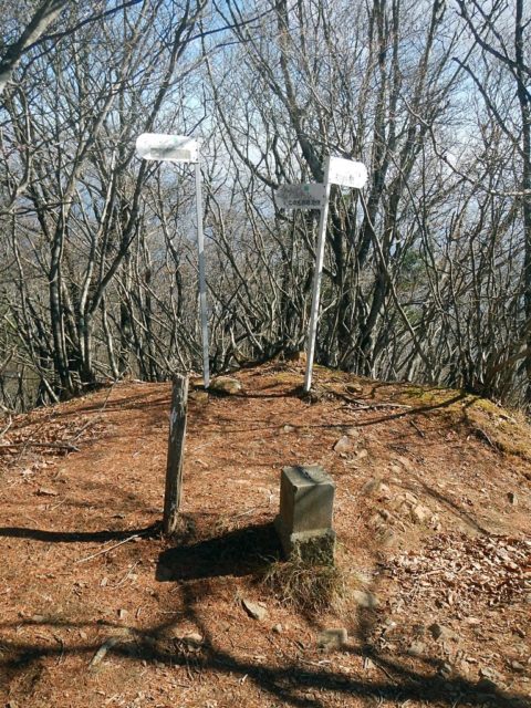 滝子山三角点