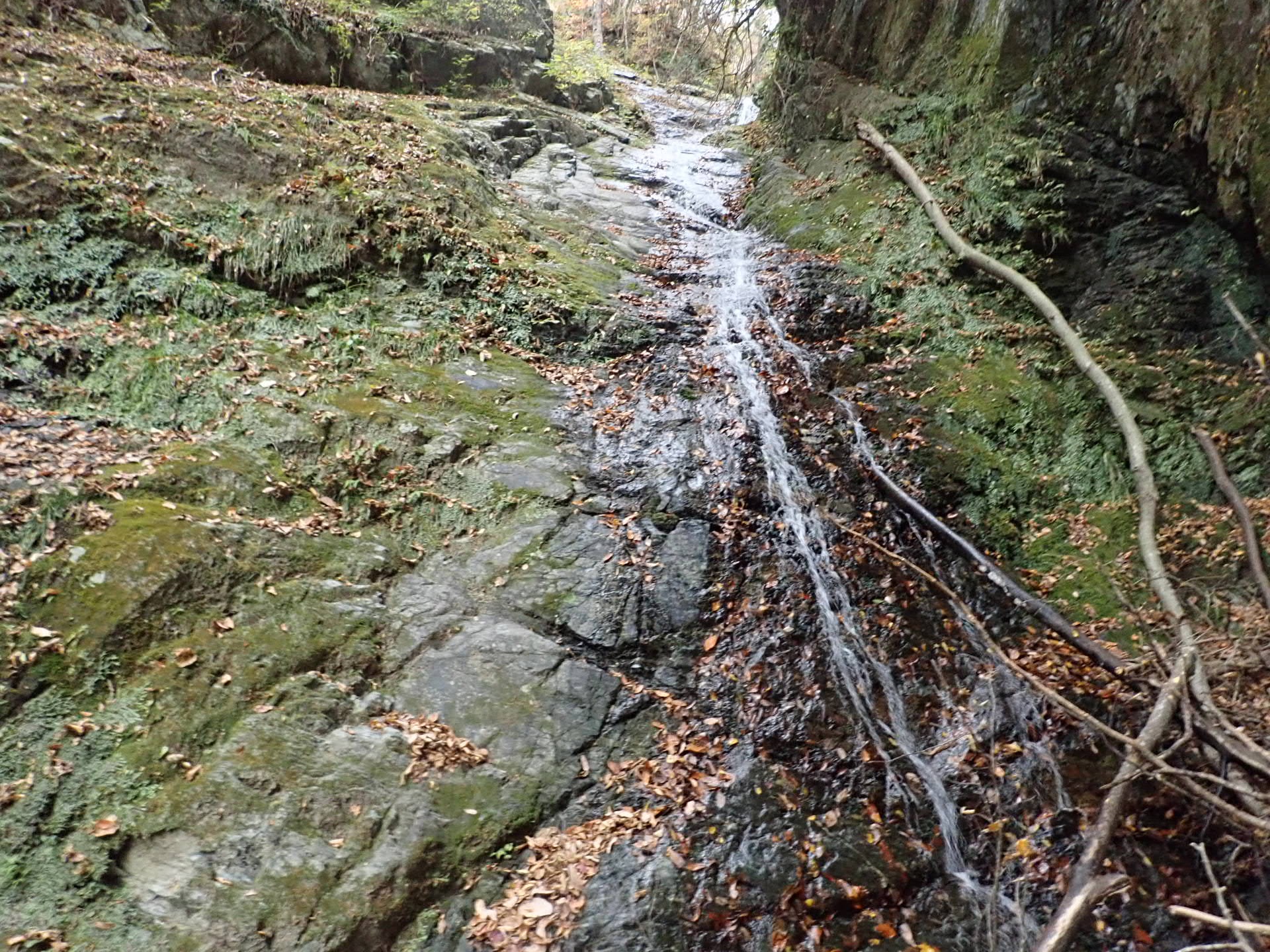 世附川寺ノ沢左俣
