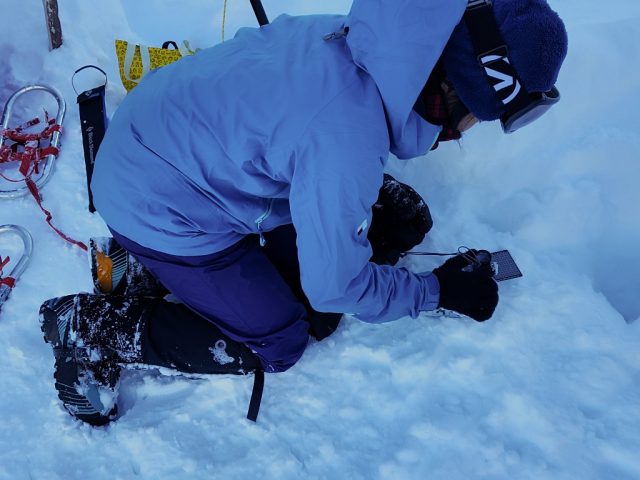 ゆきみちゃんで雪の観察