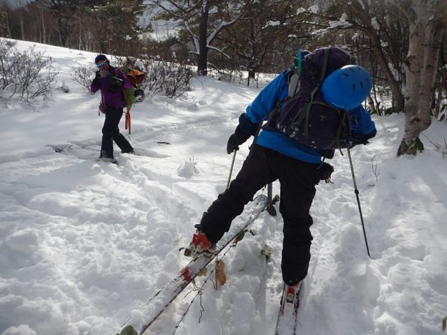 牧場の柵を跨いで越える