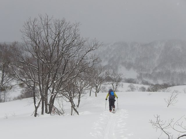 麓の開けた台地上