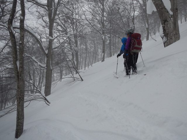 パウダー斜面を降る