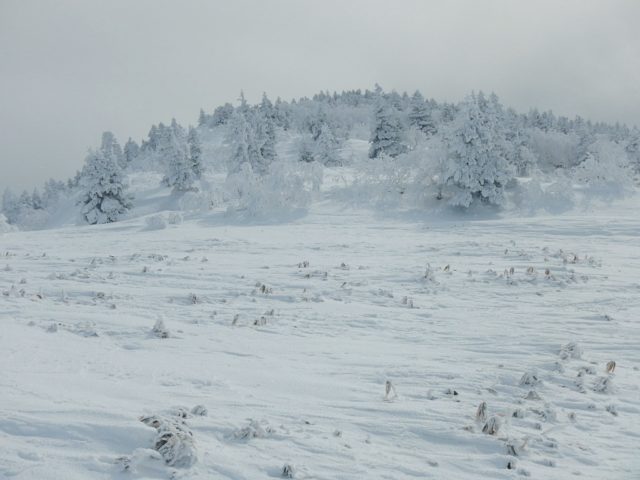 鞍部のシュカブラ