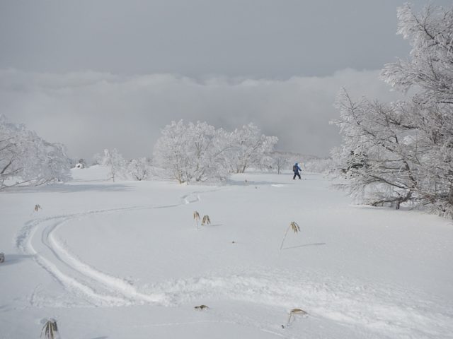 気持ちのいい滑りを楽しむ