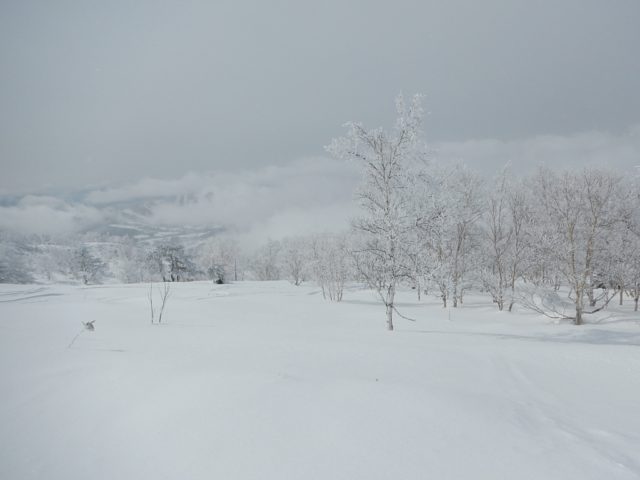 気持ちのいい斜面が続く