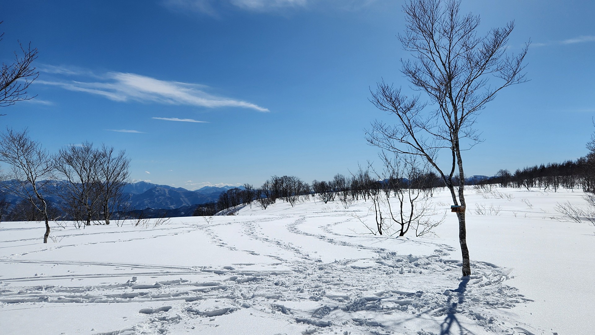 舟鼻山山頂周辺の風景