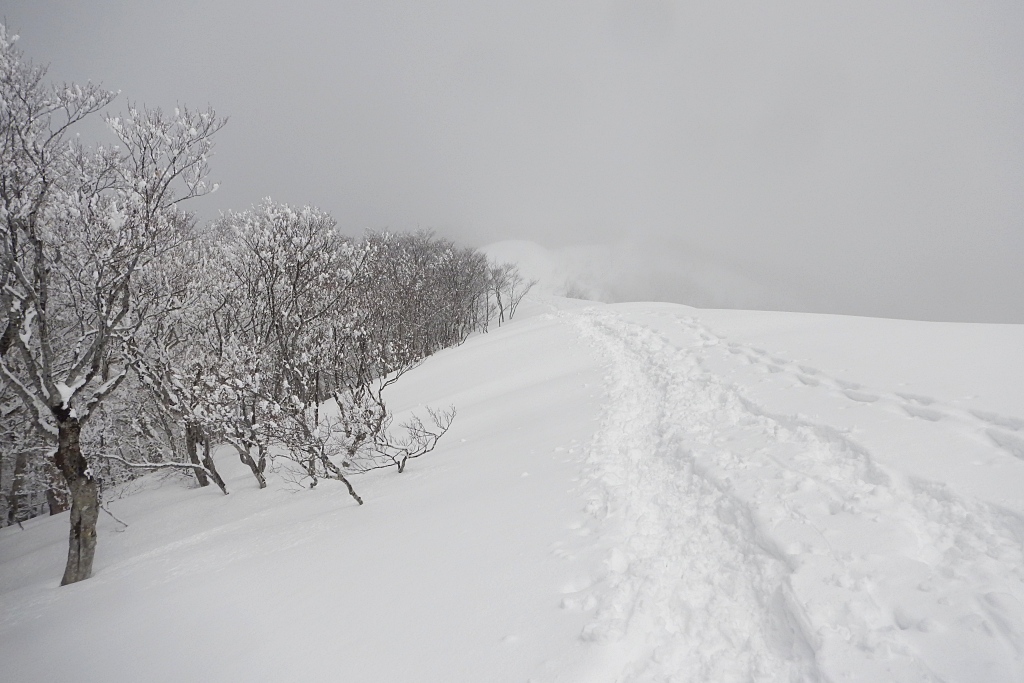 霧に覆われた稜線
