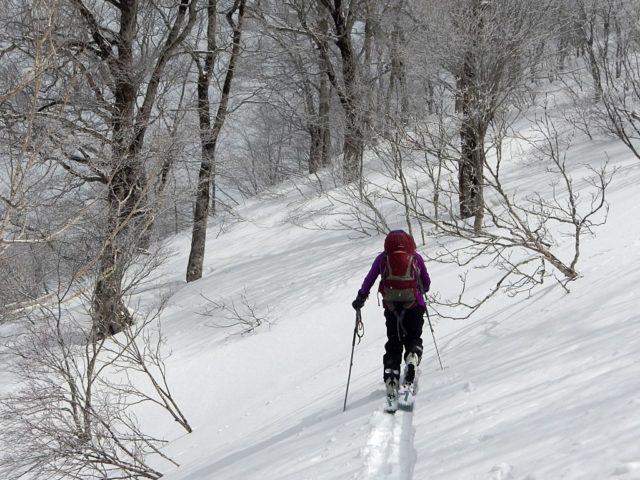 急傾斜の斜面を登る