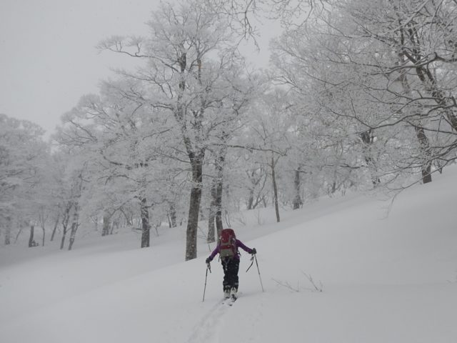 稜線まであと僅か