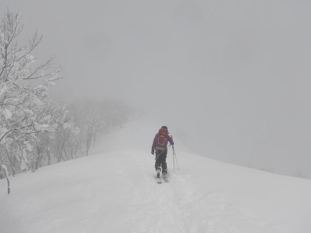 ガスに覆われた稜線