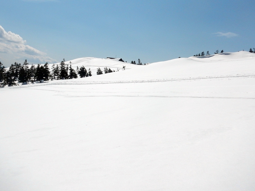 会津駒山頂を望む
